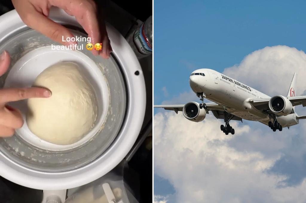 Passenger ripped for baking sourdough bread on flight: 'This is a plane - not a bakery'