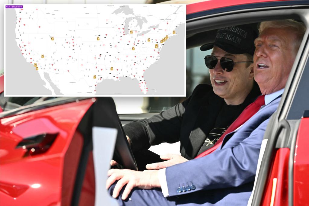 The Doxing Website showing personal details of Tesla owners has Molotov cocktail as cursor: report