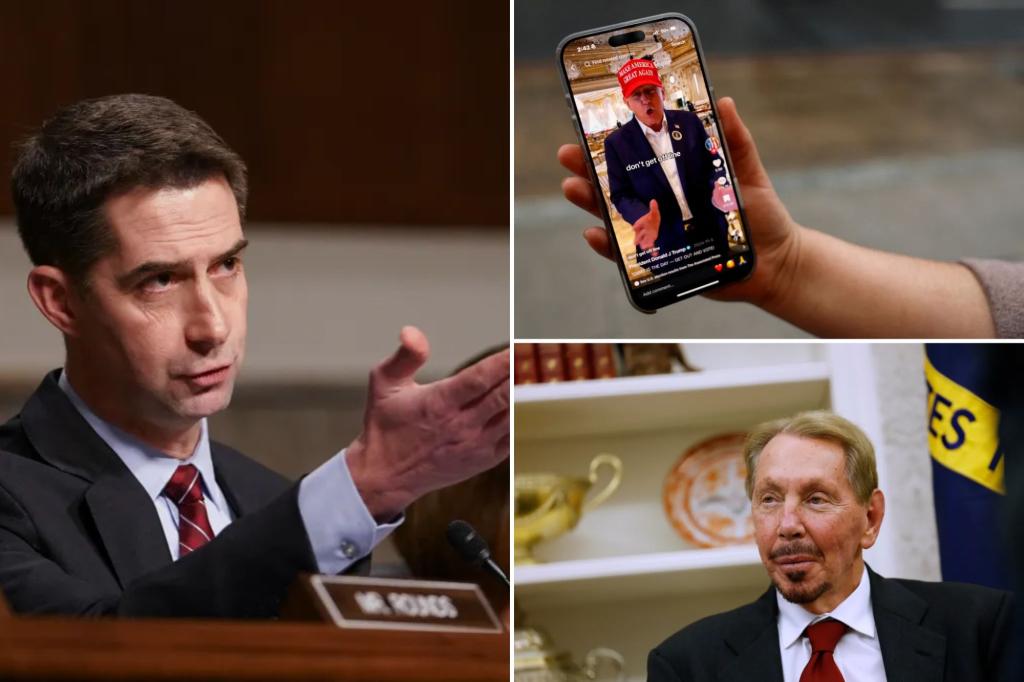 Powerful Republican represents potential roadblocks to the Trump -backed plan to save Tiktok