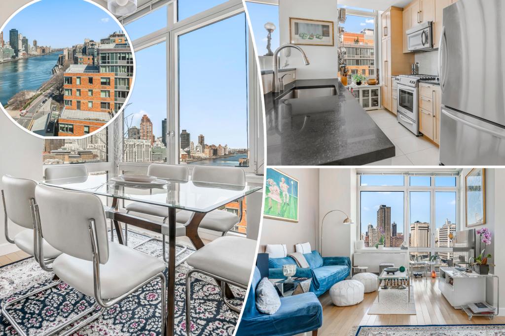 Exclusive | This is the most precious home ever listed on Roosevelt Island - and can also break a sales record