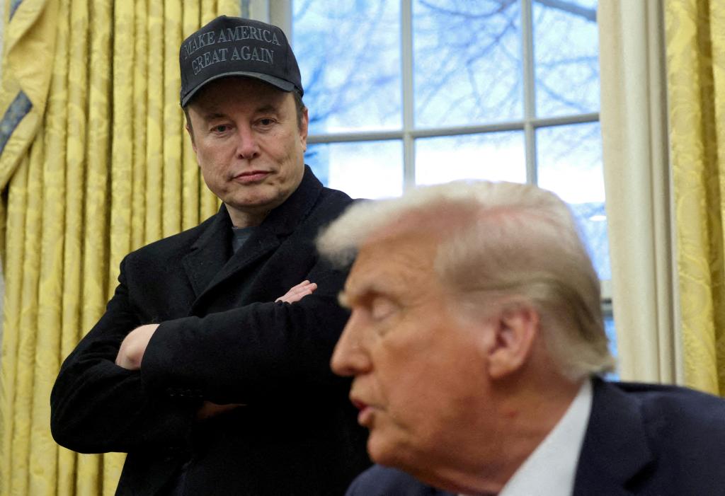 TESLA Submittings Submit 'Catastrophic' 13% As Elon Musk faces public bacon over Doge