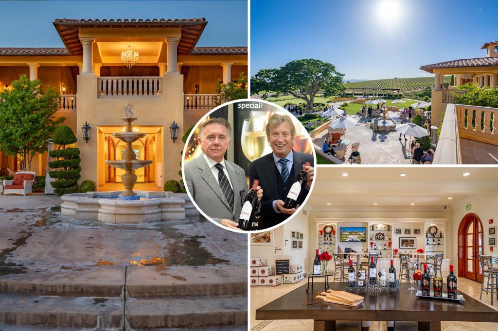 Exclusive | 'American Idol' manufacturers seek to auction 160 acres of summer in California, where guests of list A included Priscilla Presley
