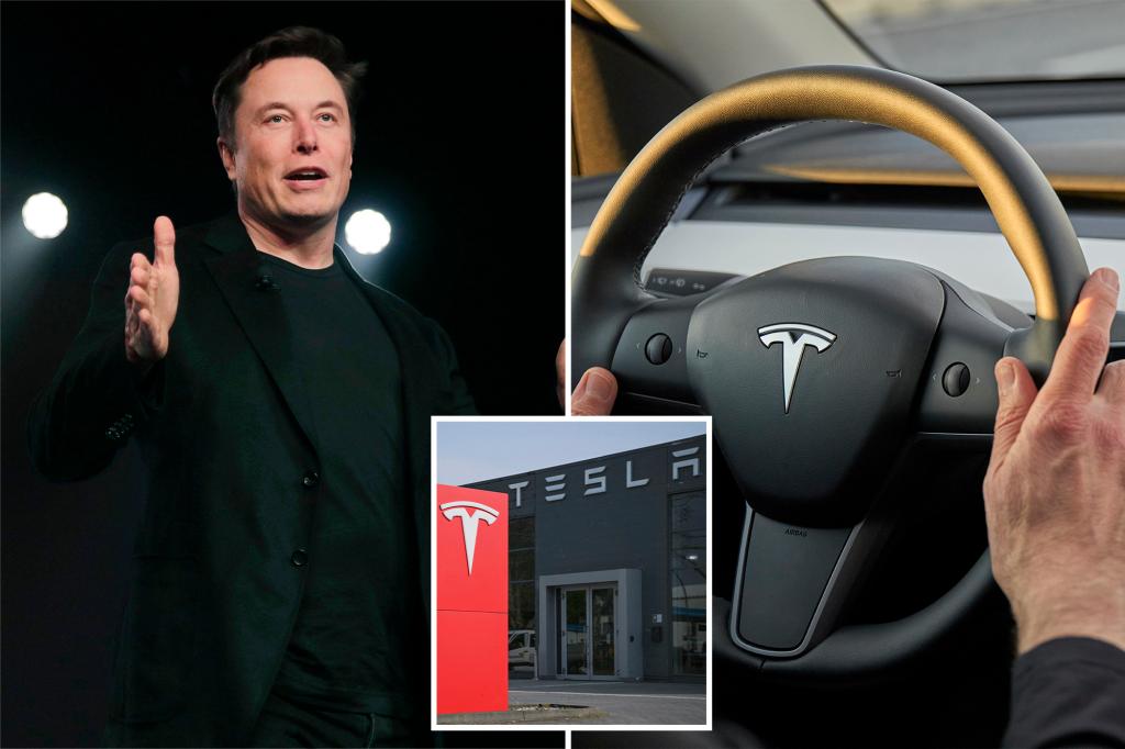Tesla issues proof of proof for the full supervisory self-direction-a travel greeting service with him