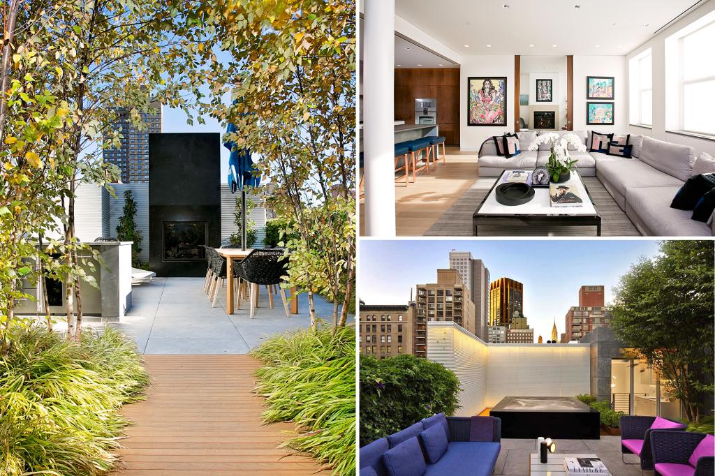 Exclusive | Soon the NYC Penthouse list comes with rare outdoor skills, including more than a dozen birch tree